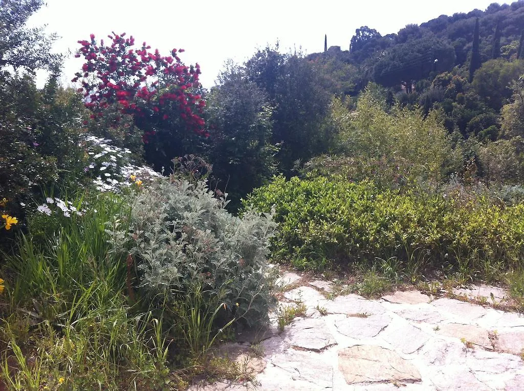 Guest house Les Iles D'Or Hotel Rayol-Canadel-sur-Mer
